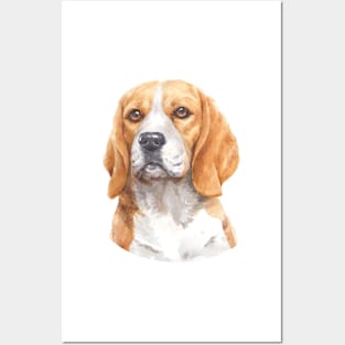 Beagle Watercolor Art Posters and Art